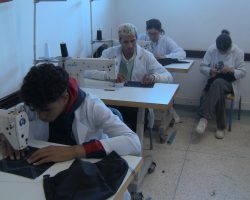 Activité 2024-2025